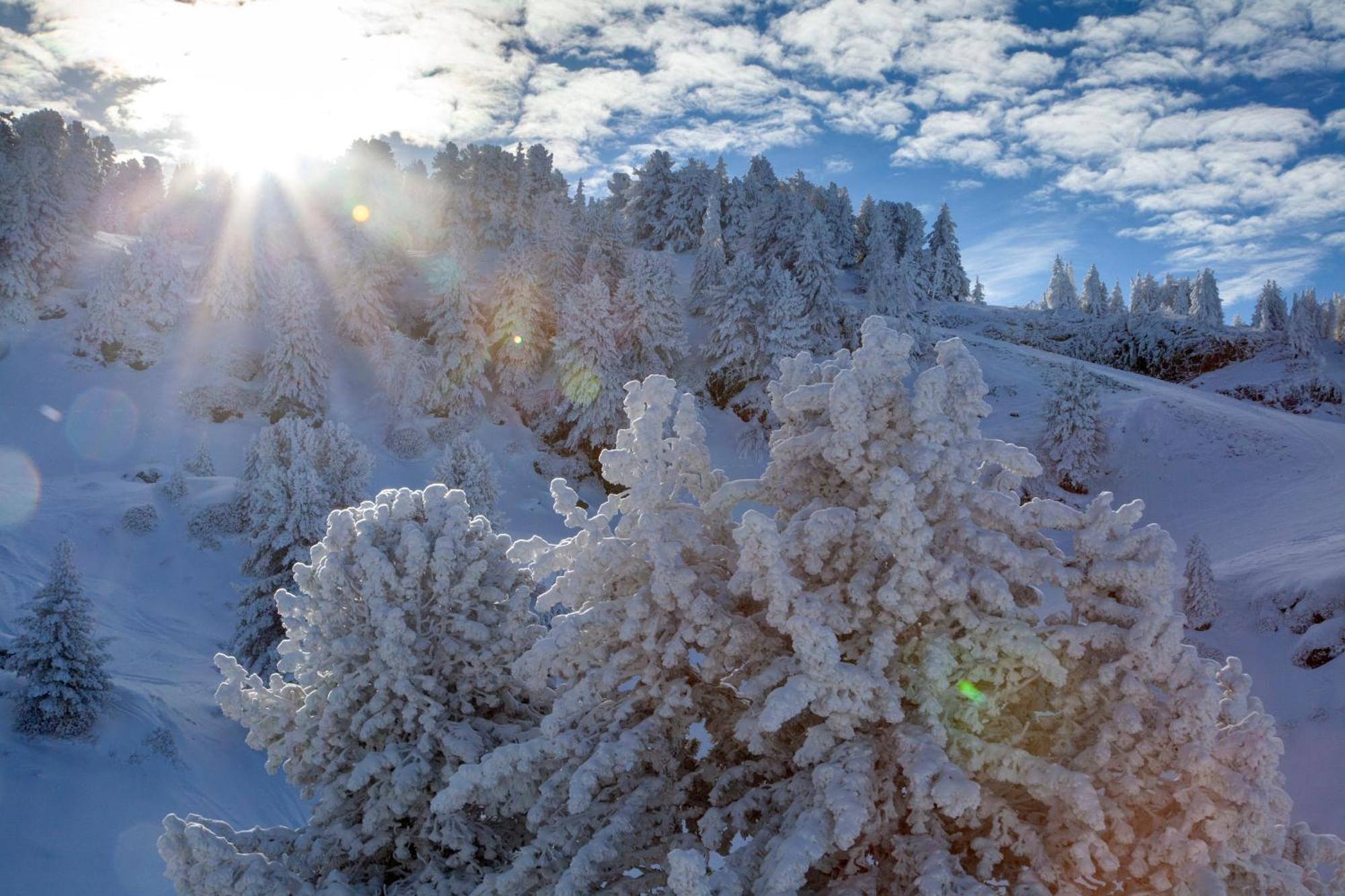 Studio, 2 Personnes, Les Balcons De Recoin Chamrousse Exteriér fotografie